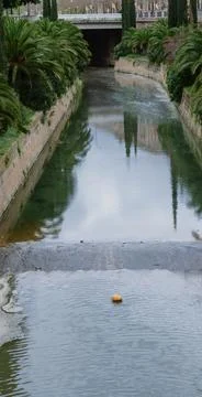A small river polluted with debris, flanked by palm trees. Foto stock