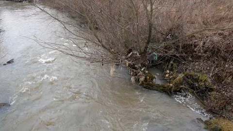 Small river polluted with human trash Stock Footage 121881674
