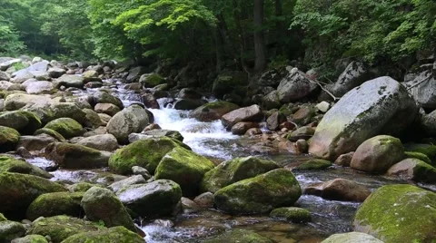 Small river in the Primorye Krai. Siberia, Russian Far East. Stock Footage 65786416