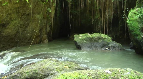 Small river in the rain forest in Bali Stock Footage 41379678