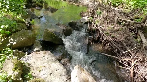 Small river with rapids and stones on riverbank Stock Footage 295037177