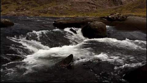 Small river rapids 스톡 동영상 102866029