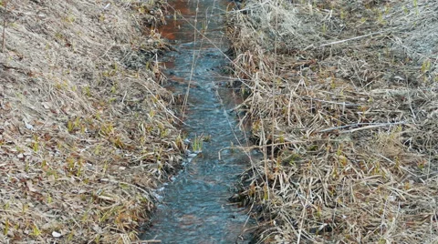 Small River in Ravine, Early Spring Stock Footage 61282740
