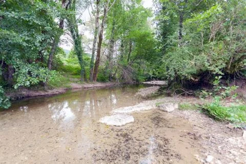 Small river of the river among the trees Stock Photos