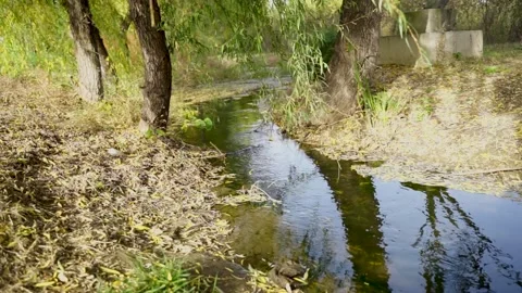 Small river by the river Stock Footage 144299034