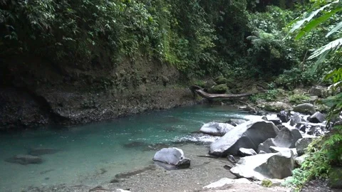 Small River With Rocks In Wild Jungle Forest [Slow Motion] Stock Footage 88883914