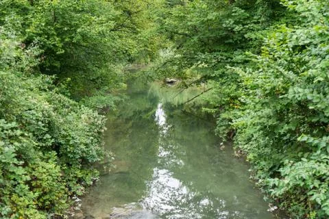 Small river running through forest Stock Photos
