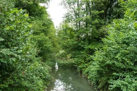 Small river running through forest Stock Photos