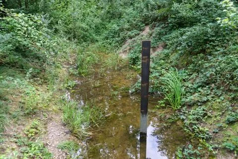 Small river running through forest with level indicator Stock Photos
