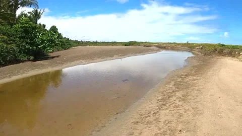 Small river at sand Stock Footage 176008334