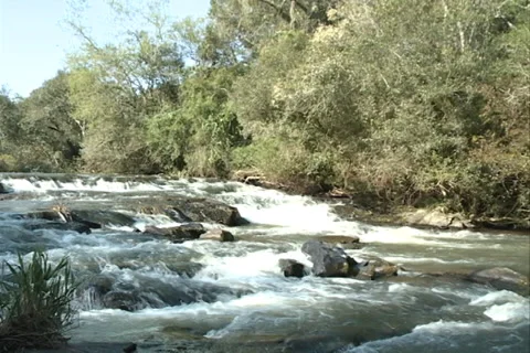Small River in SC, Brazil, clean water, landscape SD. Video stock 37494867