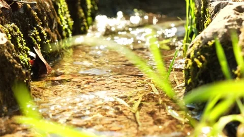 Small river seen from the foreground, from below. Stock Footage 334345317