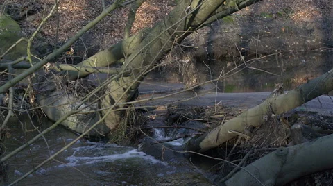 A small river in slow motion Stock Footage