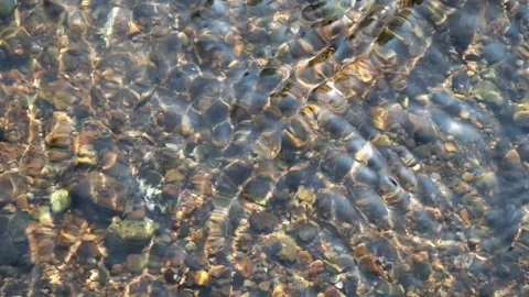 A small river with a slow water flow Stock Footage 274332981