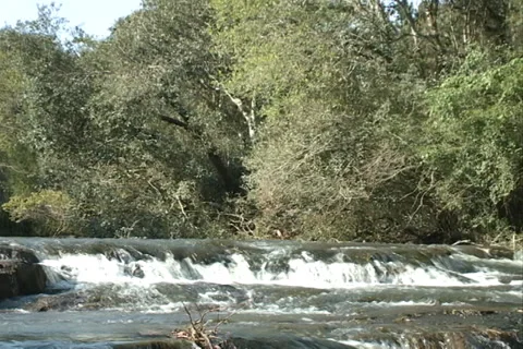 Small River, small waterfall clean water Video stock 37493185
