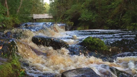 A small river with a small waterfall in Karelia Stock Footage 152083715