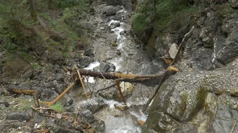 Small river with small waterfalls Stock Footage 56164326