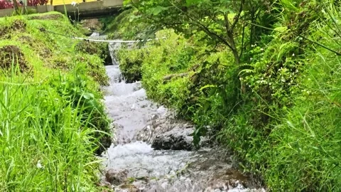 A small river with a smooth flow and very clear water Stock Footage 310037526