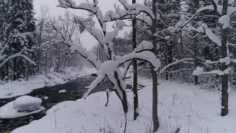 Small river in a snowy forest Видео 105072303