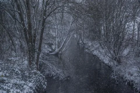 Small river in snowy forest Stock Photos