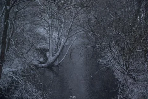 Small river in snowy forest Stock Photos