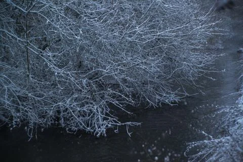 Small river in snowy forest Stock Photos