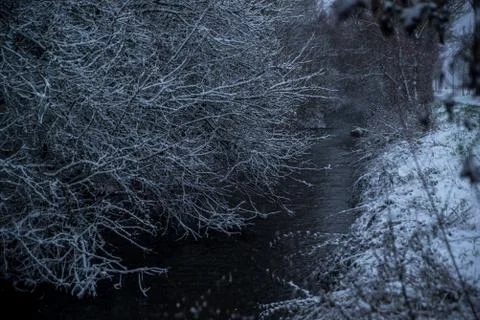 Small river in snowy forest Stock Photos