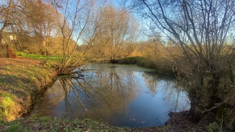 A small river spilled over a meadow among colorful yellow trees Stock Footage 220671455