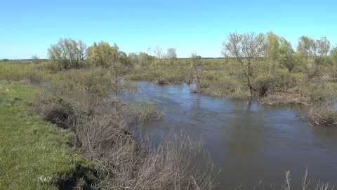 Small river at spring. Flooded trees. Panning. 4K stock video footage Stock Footage 103817352
