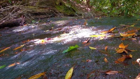 Small river spring flowing through rocks Stock-Footage 70130514
