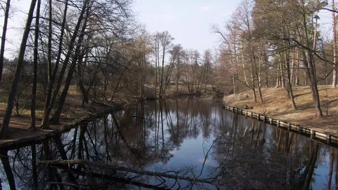 Small river in spring forest. aerial. Stock Footage 127163059