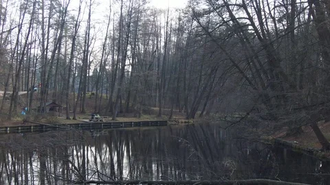 Small river in spring forest. aerial. Stock Footage 127163092
