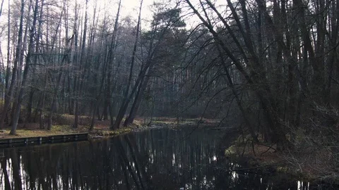 Small river in spring forest. aerial. Stock Footage 127163124