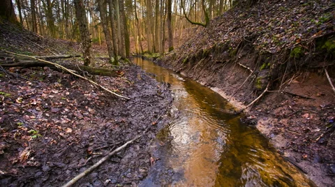 Small river in springtime forest. Stock Footage 58650171