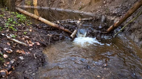 Small river in springtime forest. Stock Footage 58650277