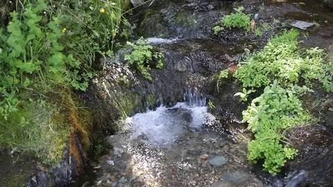 Small river in stones with leaves Video stock 116742365