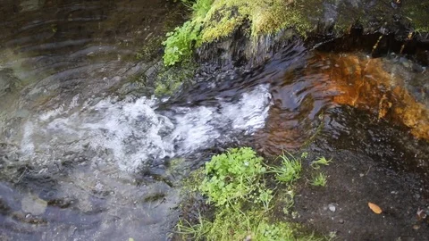 Small river in stones with leaves Video stock 116742397