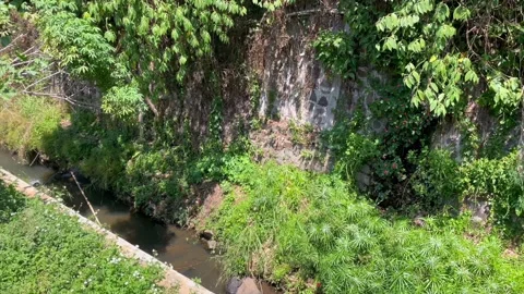 Small river stream flowing along rocky cliff with lush green foliage Stock Footage 346562561