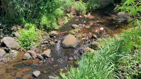 Small river stream flowing over rocks in nature Vídeos de archivo 346562690