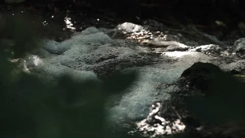 Small river stream flowing through leaves Stockbeeldmateriaal 153449017