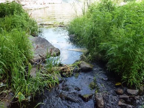 A small river stream flows over the stones. Natural summer background Stock Photos