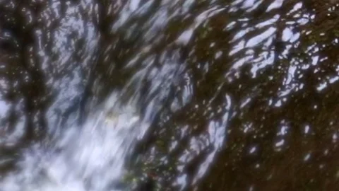 Small river stream Stock Footage 117938535