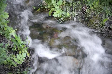 Small river stream in the forest Stock Photos