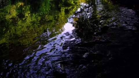 Small river stream in green forest Stock Footage 138452340