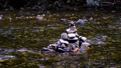 Small river stream in green forest Video stock 138452725