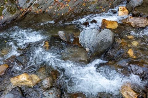 Small river stream mid October in Transylvania, Romania. Stock Photos