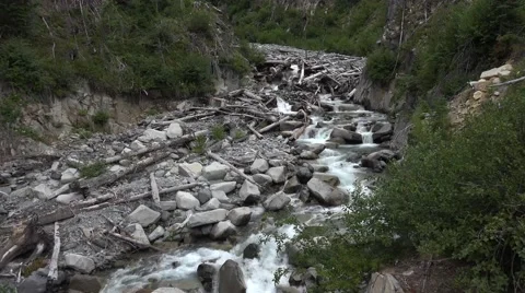 Small river, stream in Mount Rainier area  in Washington State Stock Footage 52798191