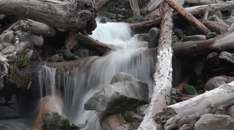 Small river, stream in Mount Rainier area  in Washington State Stock Footage 52798443