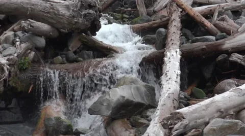 Small river, stream in Mount Rainier area  in Washington State Stock Footage 52798694
