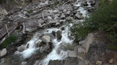 Small river, stream in Mount Rainier area Stock Footage 52798779